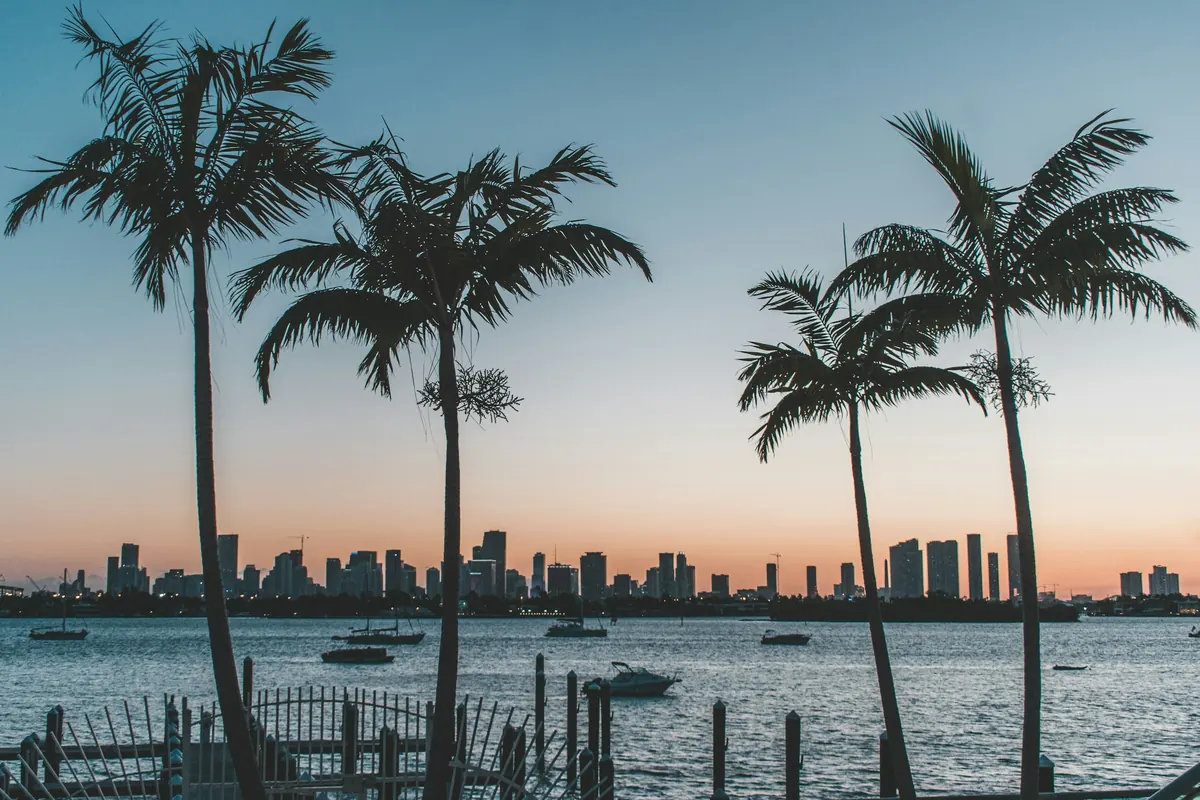 Palm trees silhouetted against a Miami sunset over the water